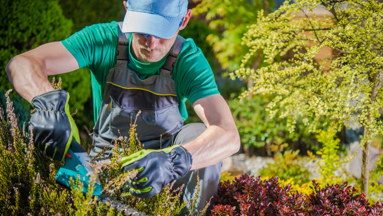 Servicio de jardinería y paisajismo